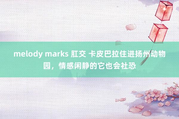 melody marks 肛交 卡皮巴拉住进扬州动物园，情感闲静的它也会社恐