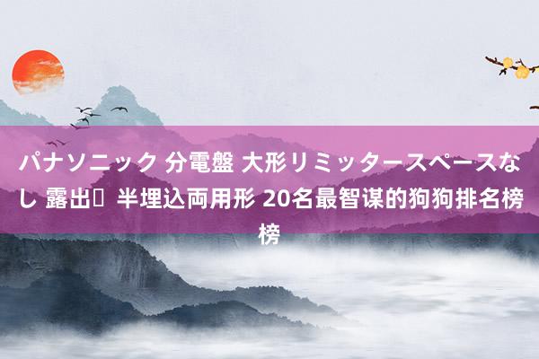 パナソニック 分電盤 大形リミッタースペースなし 露出・半埋込両用形 20名最智谋的狗狗排名榜