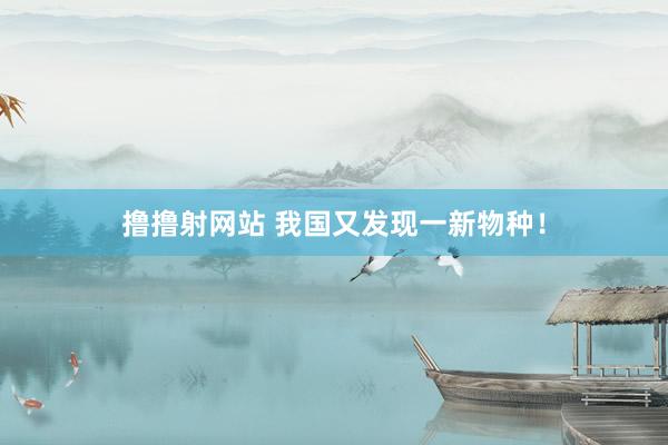 撸撸射网站 我国又发现一新物种！