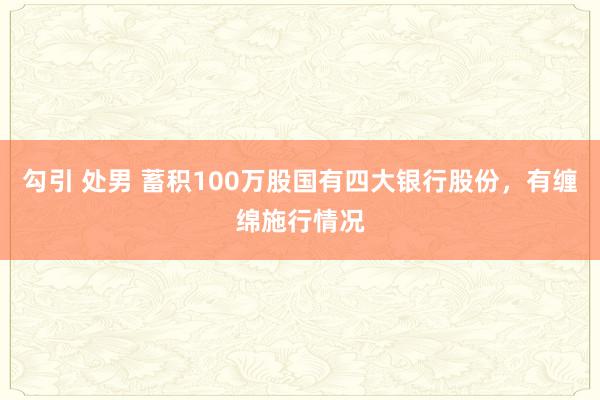 勾引 处男 蓄积100万股国有四大银行股份，有缠绵施行情况