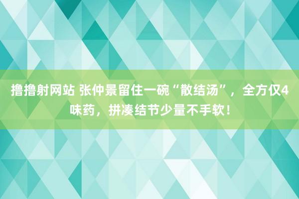 撸撸射网站 张仲景留住一碗“散结汤”，全方仅4味药，拼凑结节少量不手软！
