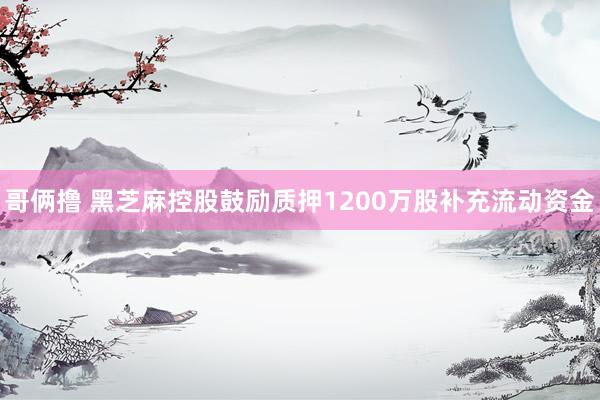 哥俩撸 黑芝麻控股鼓励质押1200万股补充流动资金