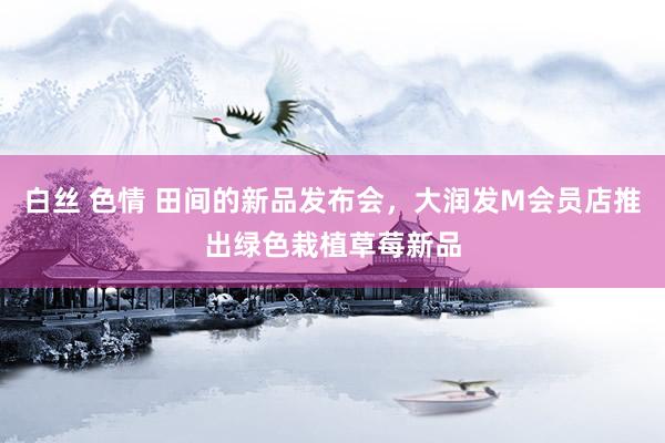 白丝 色情 田间的新品发布会，大润发M会员店推出绿色栽植草莓新品