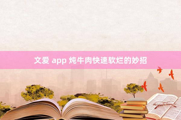 文爱 app 炖牛肉快速软烂的妙招