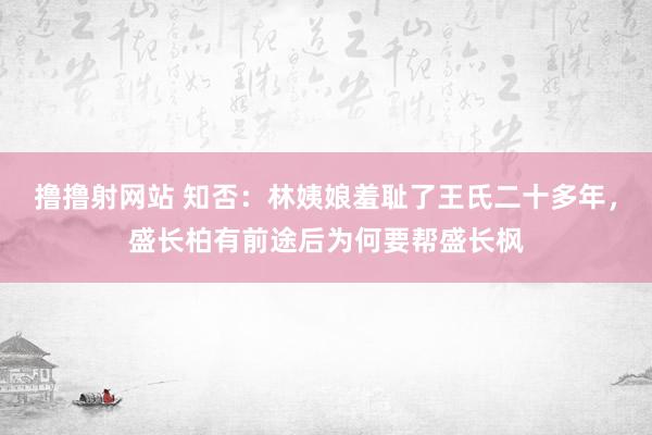 撸撸射网站 知否：林姨娘羞耻了王氏二十多年，盛长柏有前途后为何要帮盛长枫