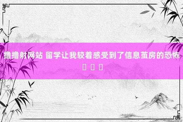 撸撸射网站 留学让我较着感受到了信息茧房的恐怖 ​​​