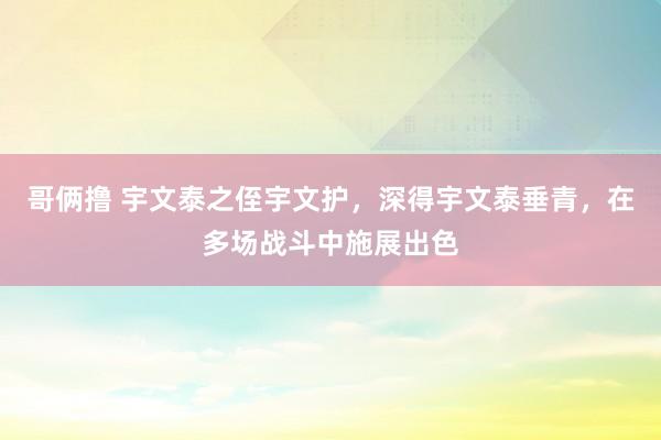 哥俩撸 宇文泰之侄宇文护，深得宇文泰垂青，在多场战斗中施展出色