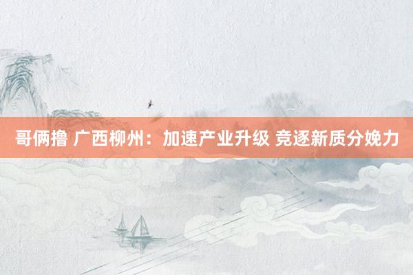 哥俩撸 广西柳州：加速产业升级 竞逐新质分娩力