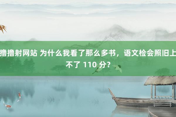 撸撸射网站 为什么我看了那么多书，语文检会照旧上不了 110 分？