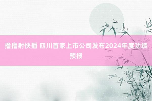 撸撸射快播 四川首家上市公司发布2024年度功绩预报
