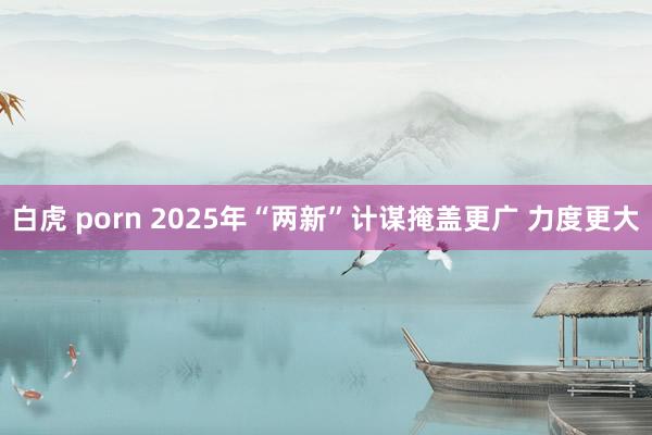 白虎 porn 2025年“两新”计谋掩盖更广 力度更大