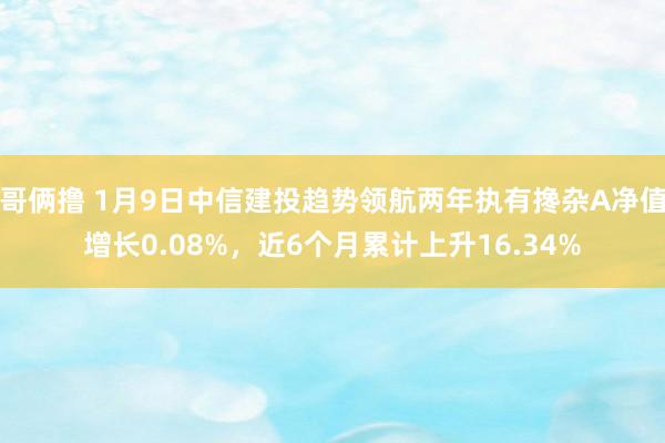 哥俩撸 1月9日中信建投趋势领航两年执有搀杂A净值增长0.08%，近6个月累计上升16.34%