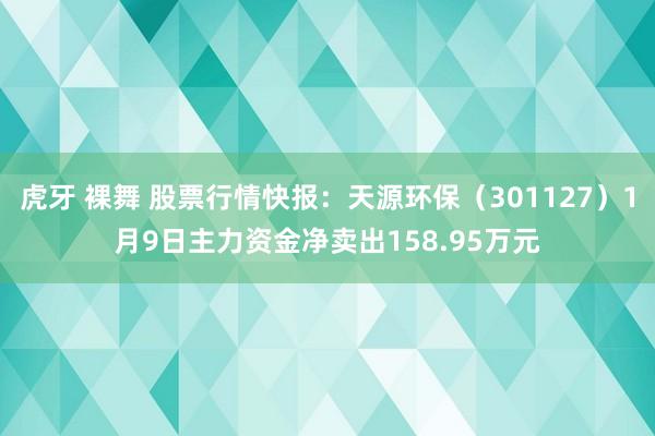 虎牙 裸舞 股票行情快报：天源环保（301127）1月9日主力资金净卖出158.95万元