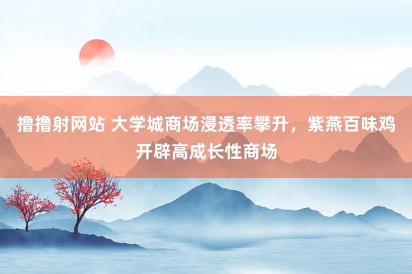 撸撸射网站 大学城商场浸透率攀升，紫燕百味鸡开辟高成长性商场