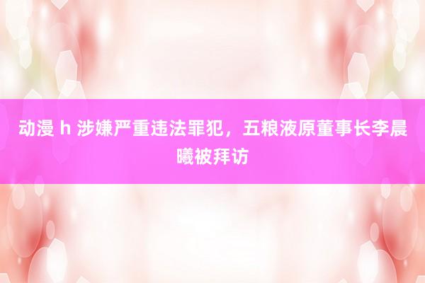 动漫 h 涉嫌严重违法罪犯，五粮液原董事长李晨曦被拜访