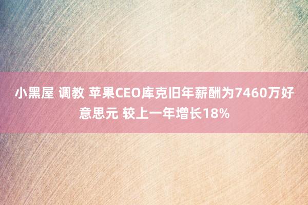 小黑屋 调教 苹果CEO库克旧年薪酬为7460万好意思元 较上一年增长18%