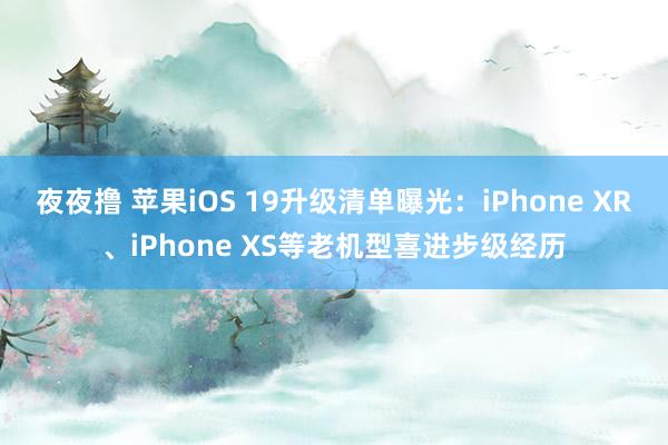 夜夜撸 苹果iOS 19升级清单曝光：iPhone XR、iPhone XS等老机型喜进步级经历