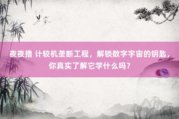 夜夜撸 计较机垄断工程，解锁数字宇宙的钥匙，你真实了解它学什么吗？