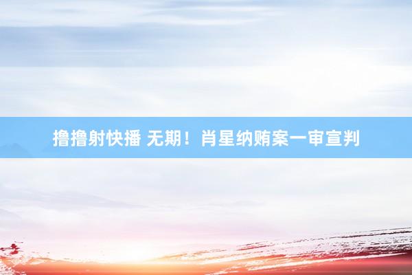 撸撸射快播 无期！肖星纳贿案一审宣判