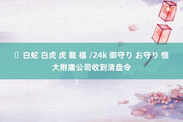 ✨白蛇 白虎 虎 龍 福 /24k 御守り お守り 恒大附庸公司收到清盘令