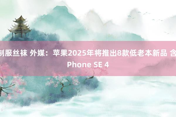 制服丝袜 外媒：苹果2025年将推出8款低老本新品 含iPhone SE 4