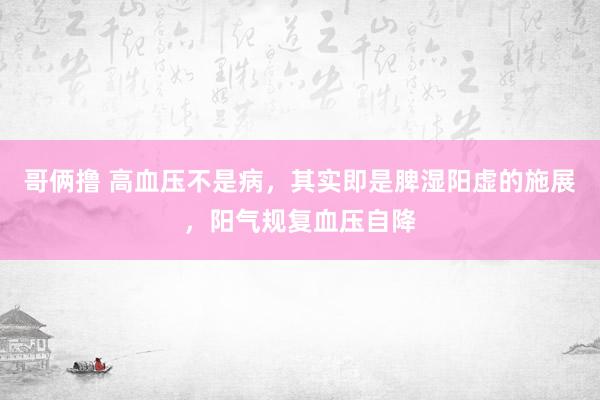 哥俩撸 高血压不是病，其实即是脾湿阳虚的施展，阳气规复血压自降