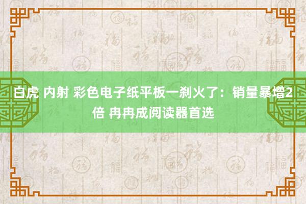 白虎 内射 彩色电子纸平板一刹火了：销量暴增2倍 冉冉成阅读器首选