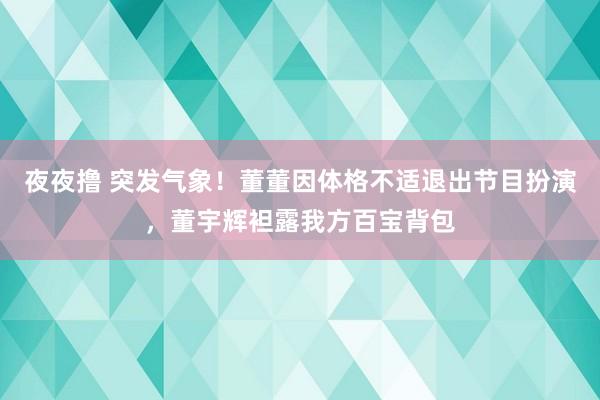 夜夜撸 突发气象！董董因体格不适退出节目扮演，董宇辉袒露我方百宝背包