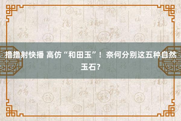 撸撸射快播 高仿“和田玉”！奈何分别这五种自然玉石？