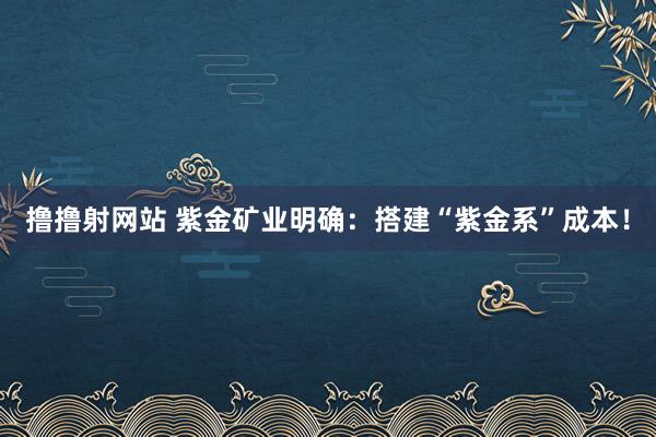 撸撸射网站 紫金矿业明确：搭建“紫金系”成本！