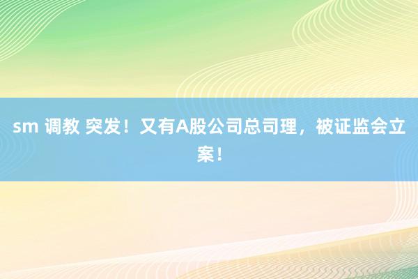 sm 调教 突发！又有A股公司总司理，被证监会立案！