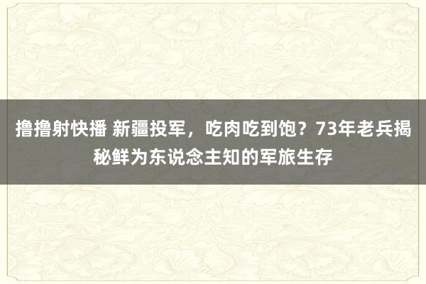 撸撸射快播 新疆投军，吃肉吃到饱？73年老兵揭秘鲜为东说念主知的军旅生存