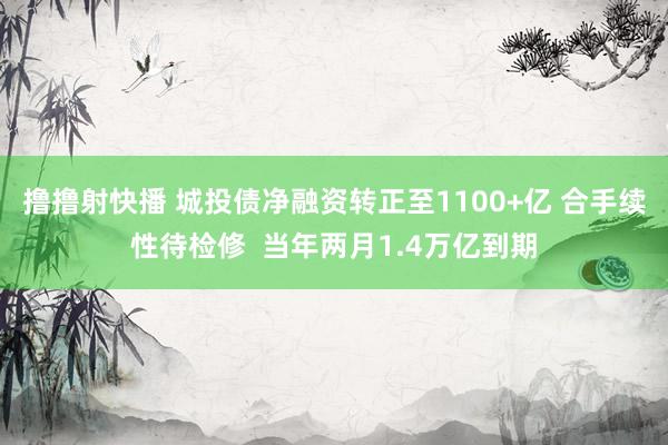 撸撸射快播 城投债净融资转正至1100+亿 合手续性待检修  当年两月1.4万亿到期