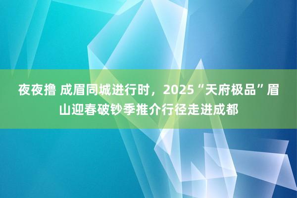 夜夜撸 成眉同城进行时，2025“天府极品”眉山迎春破钞季推介行径走进成都