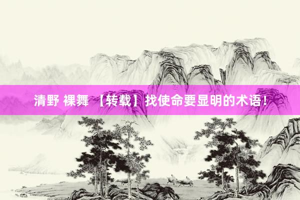 清野 裸舞 【转载】找使命要显明的术语！