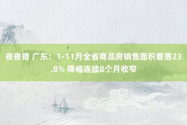 夜夜撸 广东：1-11月全省商品房销售面积着落23.8% 降幅连续8个月收窄