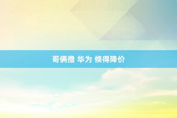 哥俩撸 华为 倏得降价