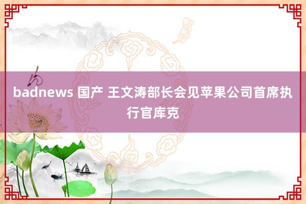 badnews 国产 王文涛部长会见苹果公司首席执行官库克