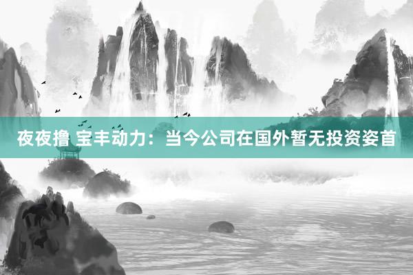 夜夜撸 宝丰动力：当今公司在国外暂无投资姿首