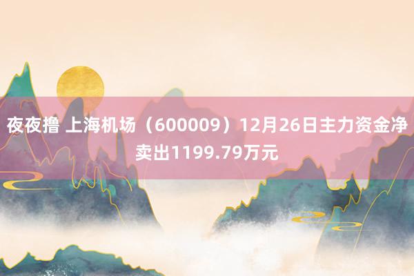 夜夜撸 上海机场（600009）12月26日主力资金净卖出1199.79万元