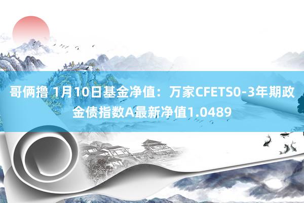 哥俩撸 1月10日基金净值：万家CFETS0-3年期政金债指数A最新净值1.0489