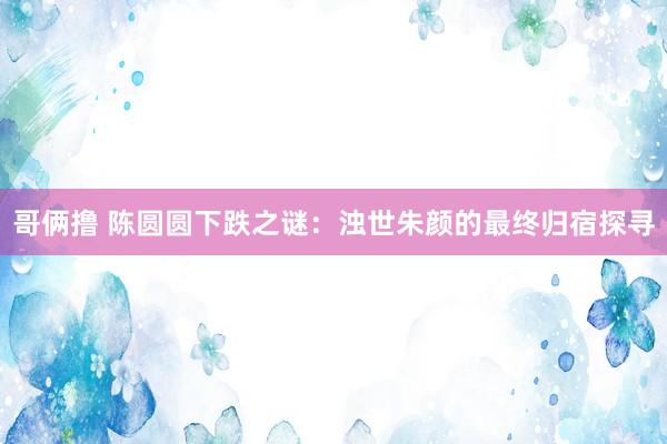 哥俩撸 陈圆圆下跌之谜：浊世朱颜的最终归宿探寻