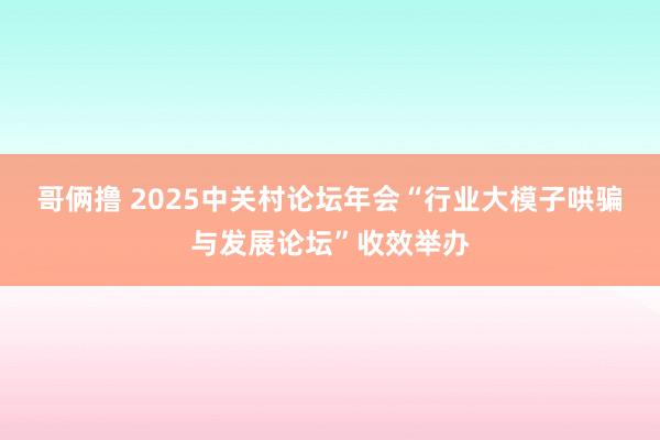 哥俩撸 2025中关村论坛年会“行业大模子哄骗与发展论坛”收效举办