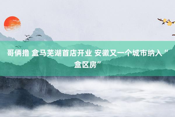 哥俩撸 盒马芜湖首店开业 安徽又一个城市纳入“盒区房”