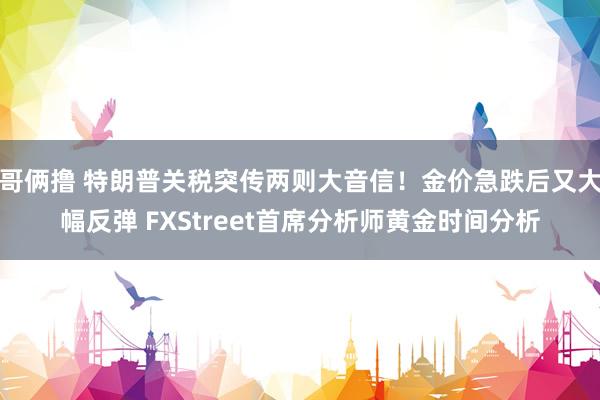 哥俩撸 特朗普关税突传两则大音信！金价急跌后又大幅反弹 FXStreet首席分析师黄金时间分析