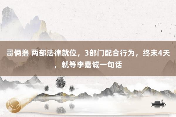 哥俩撸 两部法律就位，3部门配合行为，终末4天，就等李嘉诚一句话