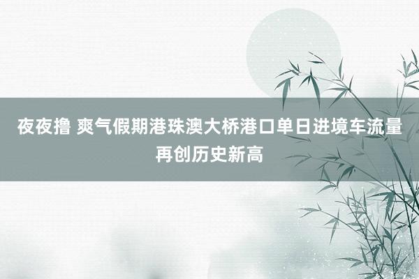 夜夜撸 爽气假期港珠澳大桥港口单日进境车流量再创历史新高