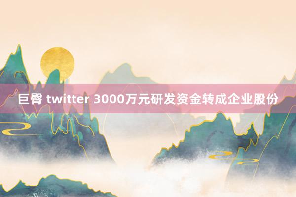 巨臀 twitter 3000万元研发资金转成企业股份