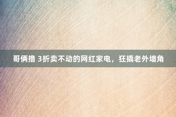 哥俩撸 3折卖不动的网红家电，狂撬老外墙角