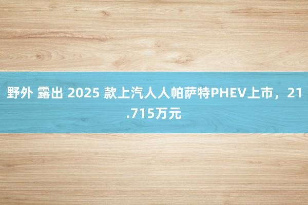 野外 露出 2025 款上汽人人帕萨特PHEV上市，21.715万元